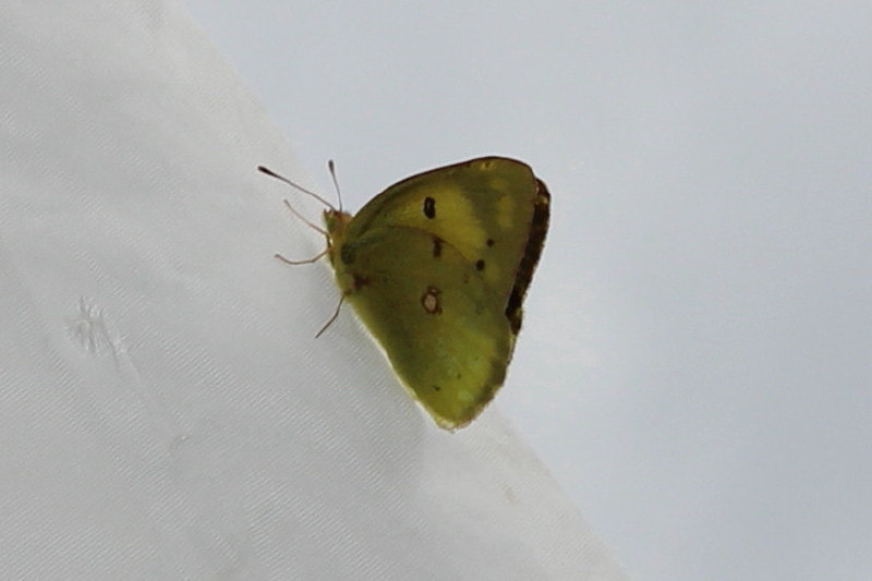 img20250618193259517619.jpg